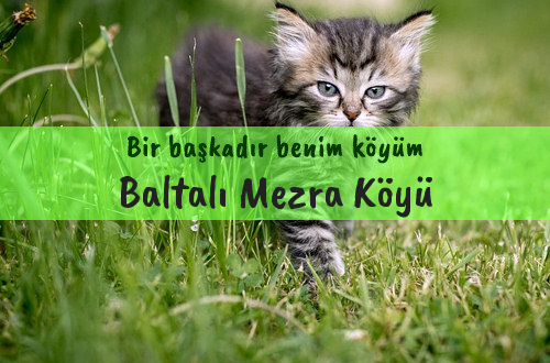 Baltalı Mezra Köyü